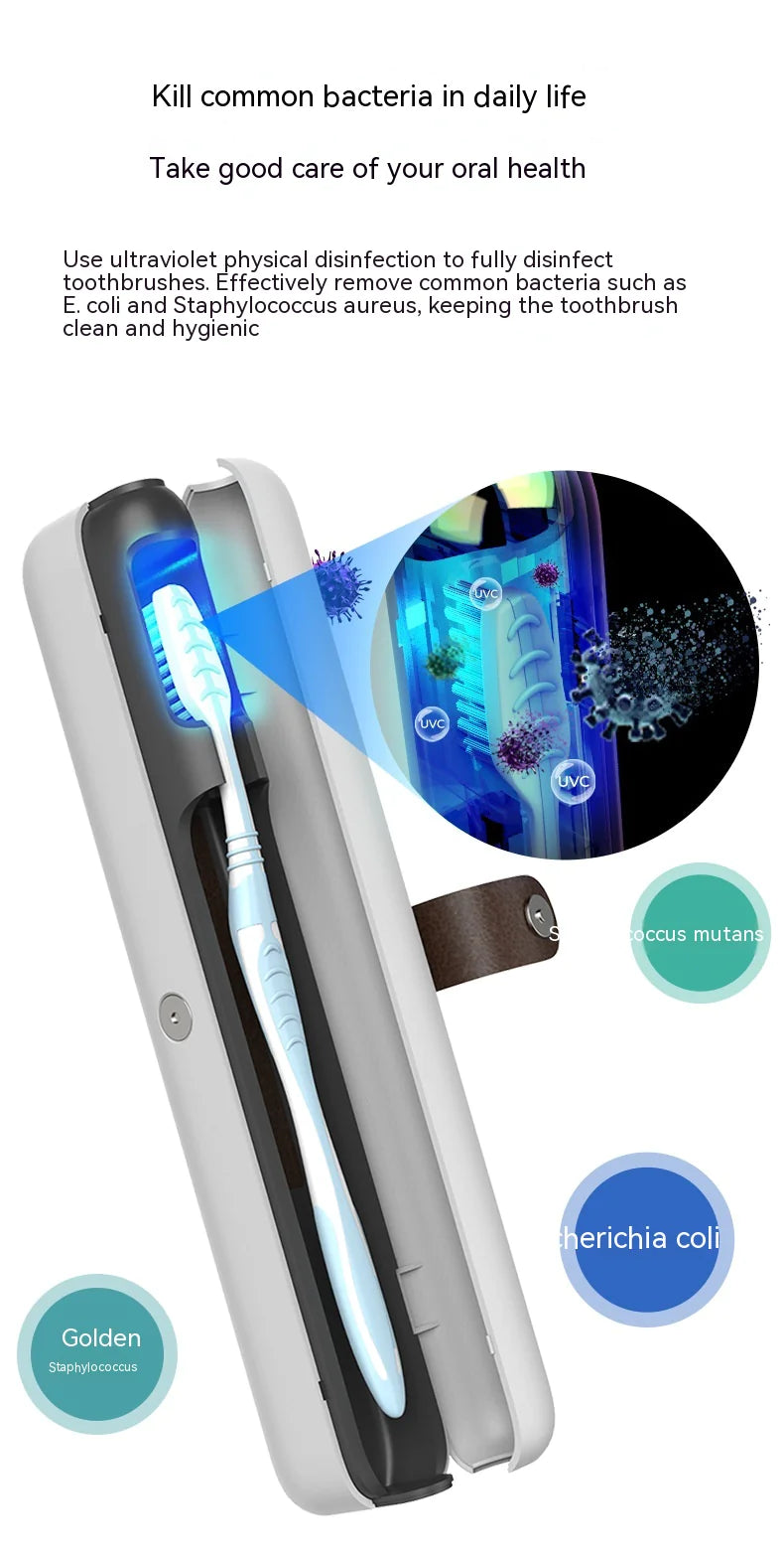 Luxe Portable Toothbrush Sterilizer